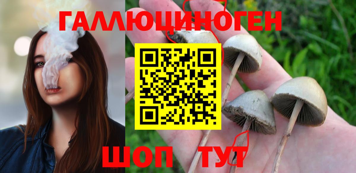 где продают   Галлюциногенные грибы ЛСД  Вход с VPN  Псилоцибиновые грибы мицелий  Менделеевск 